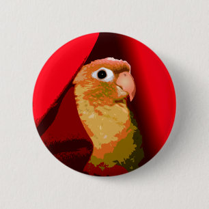 Cinnamon Green Cheek Conure Parakeet Pet Bird Button