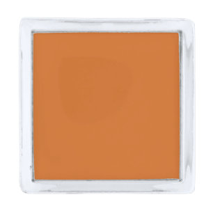 Cinnamon hex code D2691E Silver Finish Lapel Pin