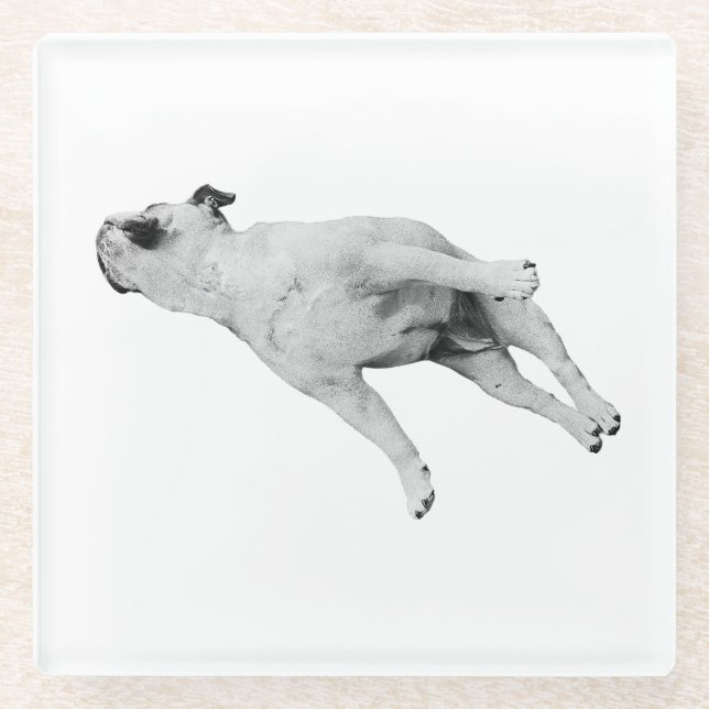 Cinnamon Pause Glass Coaster (Front)