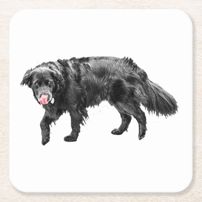 Cinnamon Steam, Scarlet Lick Square Paper Coaster (Front)