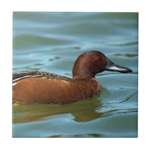 Cinnamon Teal Ceramic Tile