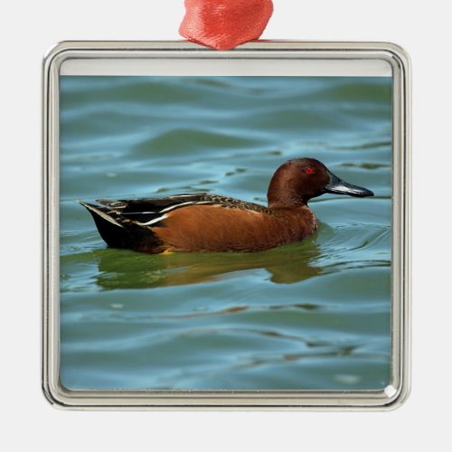 Cinnamon Teal Metal Ornament