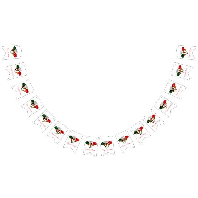 Cinqo de Mayo Bunting Flags (All)