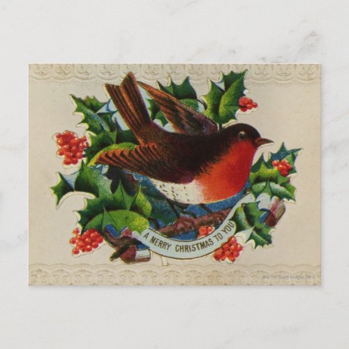 Circa 1900 A traditional Christmas robin Holiday Postcard