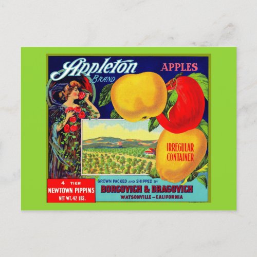 circa 1900 Appleton Apples crate label Postcard