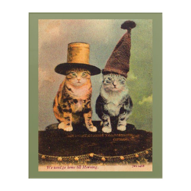 circa 1900 cats in hats RPPC Acrylic Print (Front)