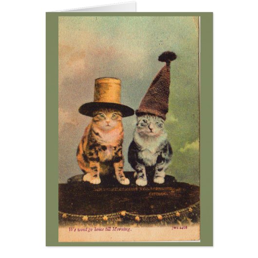 circa 1900 cats in hats RPPC Cards (Front)