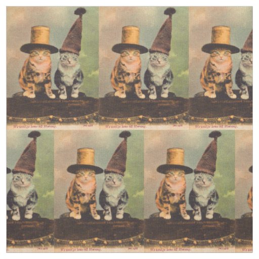 circa 1900 cats in hats RPPC Fabric