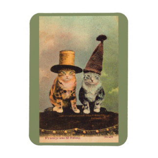 circa 1900 cats in hats RPPC Magnet