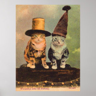 circa 1900 cats in hats RPPC Poster