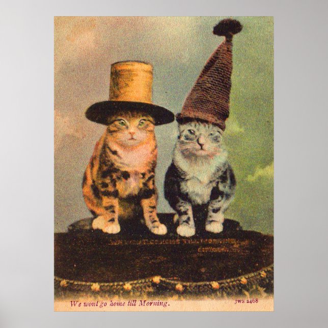 circa 1900 cats in hats RPPC Poster (Front)