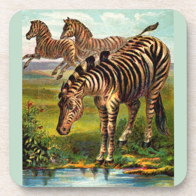 circa 1900 zebras print beverage coaster (Front)