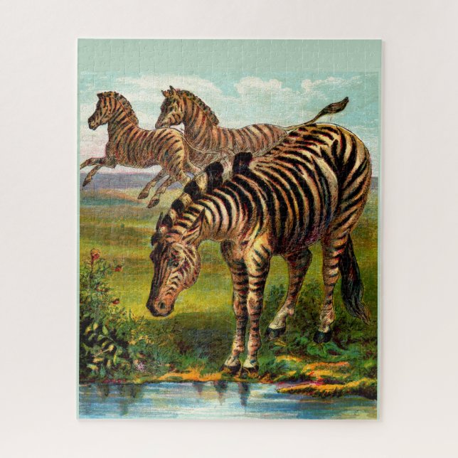 circa 1900 zebras print jigsaw puzzle (Vertical)