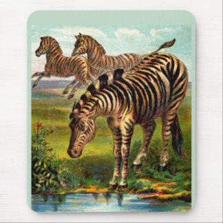 circa 1900 zebras print mouse pad