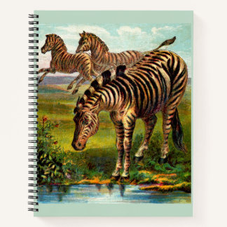 circa 1900 zebras print notebook