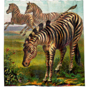 circa 1900 zebras print shower curtain