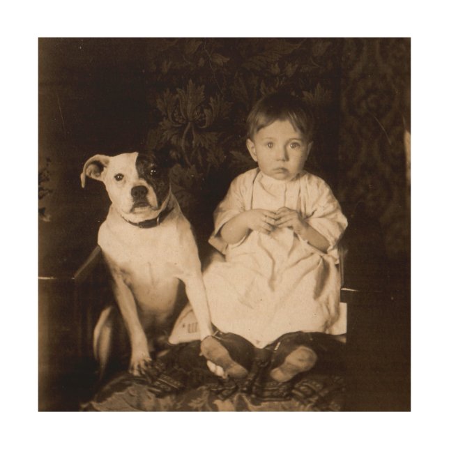 circa 1910 pitbull and baby RPPC Wood Wall Art (Front)