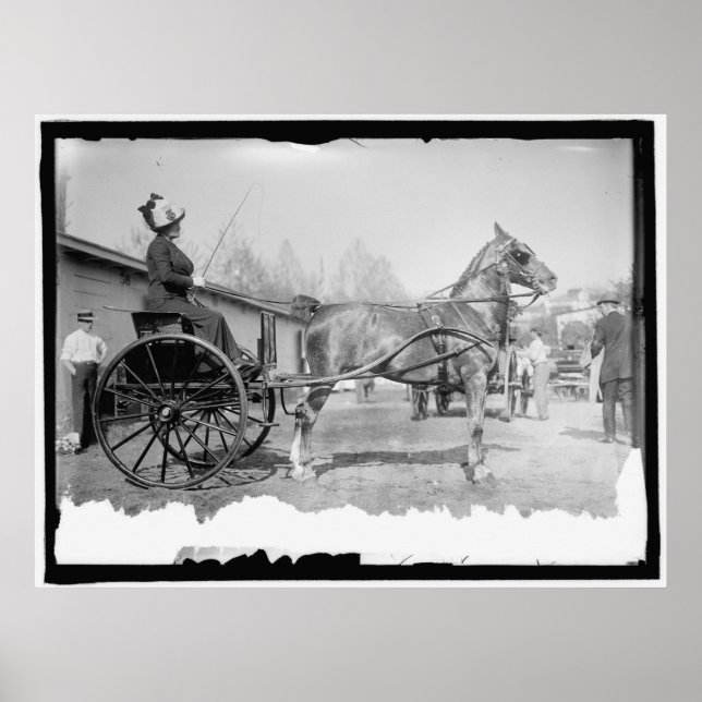 Circa 1911 Horse Photography Poster (Front)