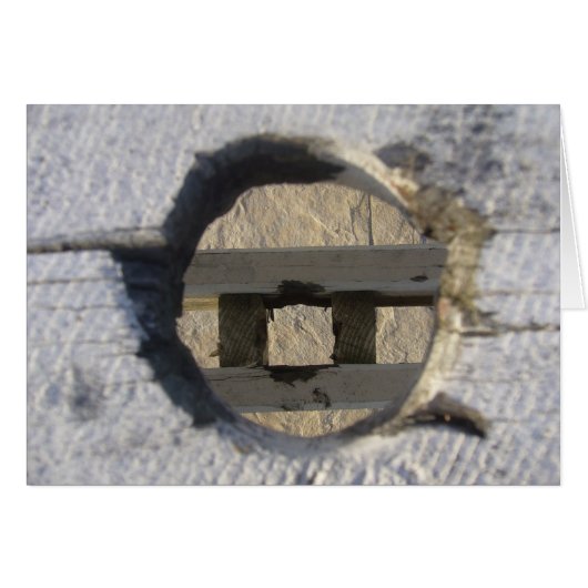 circle (Front Horizontal)