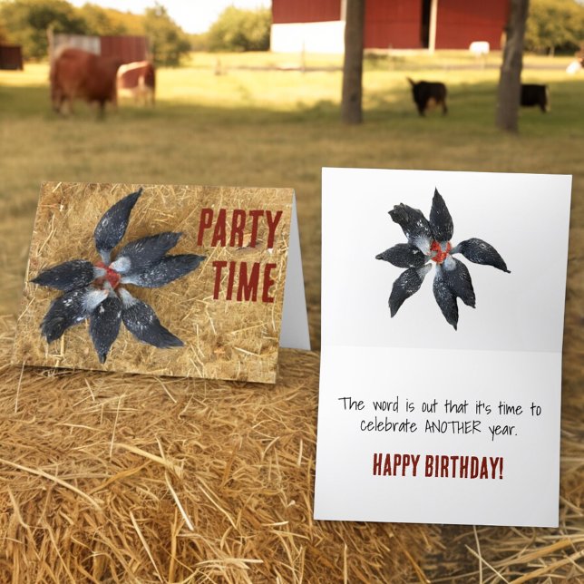 Circle of Black & White Chickens Eating Watermelon Card (custom greeting card front and inside)