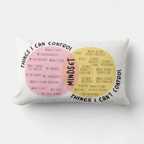Circle of Control and Influence Lumbar Pillow