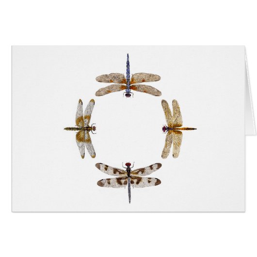 Circle of Dragonflies Cards (Front Horizontal)