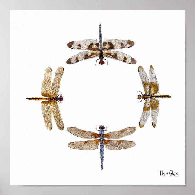 CIRCLE OF DRAGONFLIES POSTER (Front)