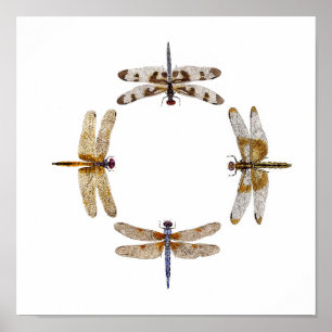 Circle Of Dragonflies Poster II