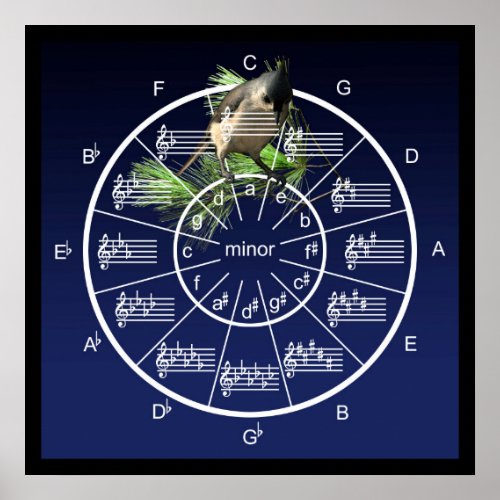 Circle of Fifths with Musical Bird for Musicians Poster