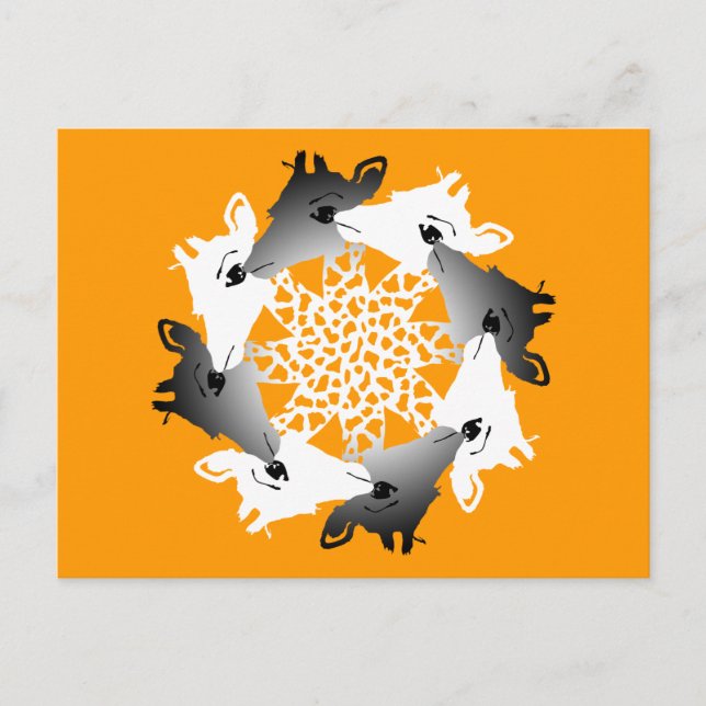 circle of giraffes postcard (Front)
