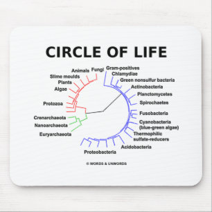 Circle Of Life (Circular Phylogenetic Tree) Mouse Pad