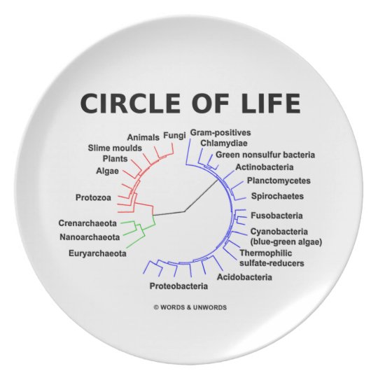 Circle of life karadjordje lfb technicism. Circle of Life. Circle of Life Автор. Circle in Life. TDD circle of Life.