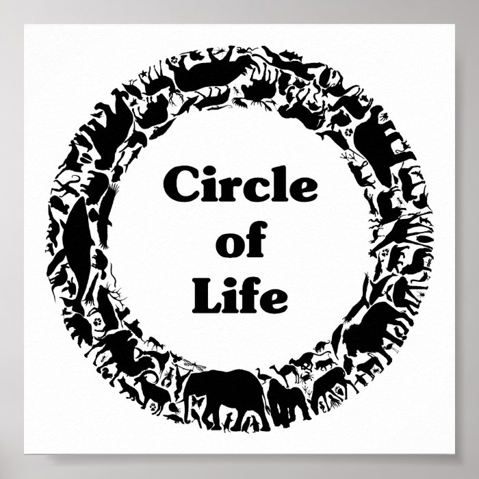 Life is circle. Circle of Life. Circle of Life Автор. Circle of Life исполнители. Circle of the Life по русски.