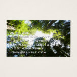 Circle of Redwood Trees at Redwood National Park