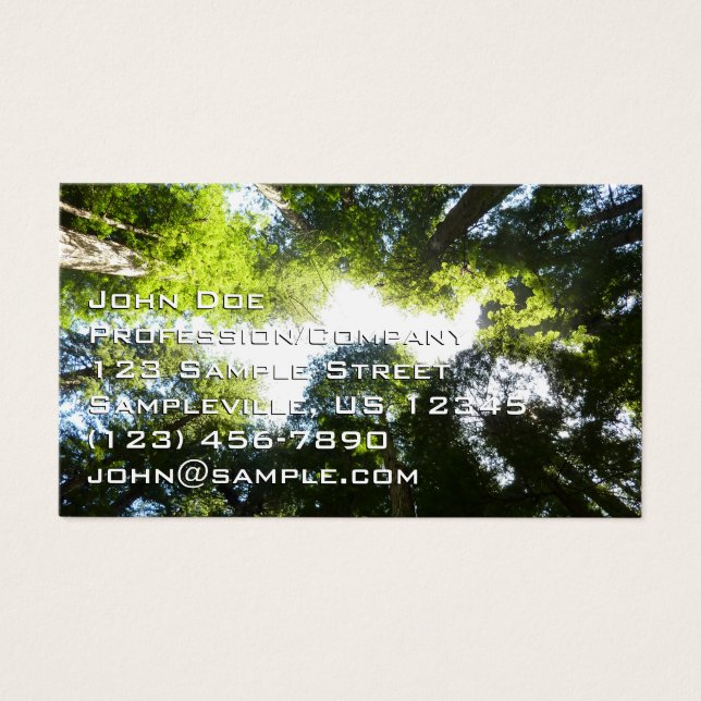 Circle of Redwood Trees at Redwood National Park (Front)