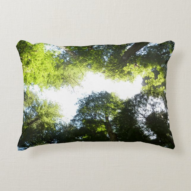 Circle of Redwood Trees at Redwood National Park Accent Pillow (Front)