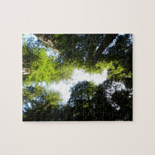 Circle of Redwood Trees at Redwood National Park Jigsaw Puzzle
