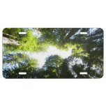 Circle of Redwood Trees at Redwood National Park License Plate