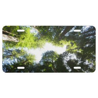 Circle of Redwood Trees at Redwood National Park License Plate
