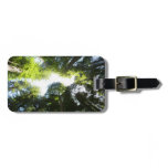 Circle of Redwood Trees at Redwood National Park Luggage Tag