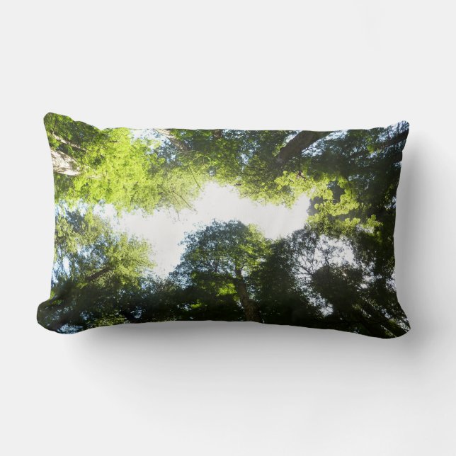Circle of Redwood Trees at Redwood National Park Lumbar Pillow (Front)