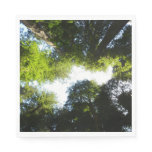 Circle of Redwood Trees at Redwood National Park Napkins