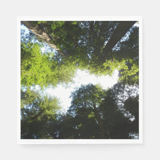 Circle of Redwood Trees at Redwood National Park Napkins (Front)