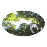 Circle of Redwood Trees at Redwood National Park Oval Sticker