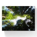 Circle of Redwood Trees at Redwood National Park Paperweight