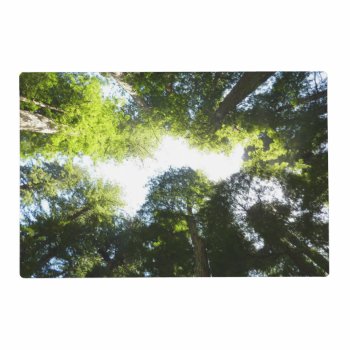 Circle Of Redwood Trees At Redwood National Park Placemat by mlewallpapers at Zazzle