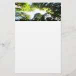 Circle of Redwood Trees at Redwood National Park Stationery