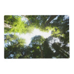 Circle of Redwood Trees Placemat