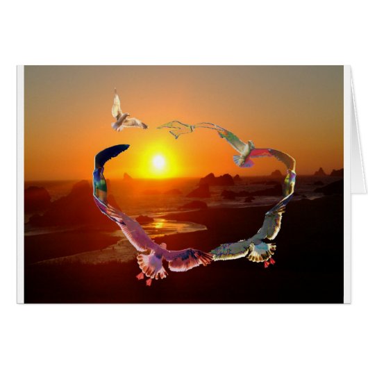 Circle of Seaguls Cards (Front Horizontal)