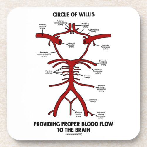 Circle Of Willis Providing Proper Blood Flow Brain Beverage Coaster